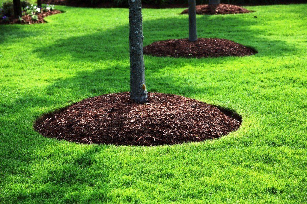 Four Aces Lawn Care, Mulching