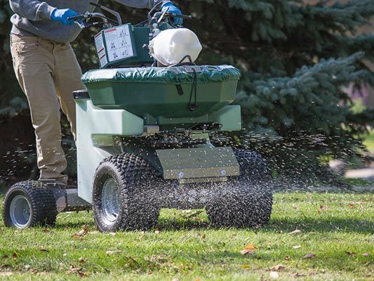 Four Aces Lawn Care, bush trimming