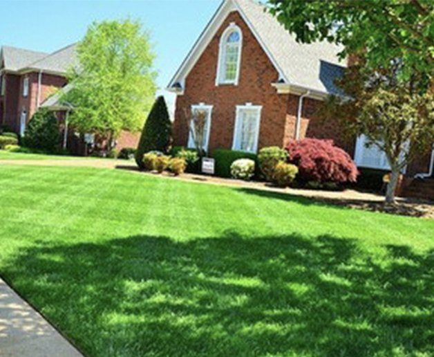 Four Aces Lawn Care, Residential Lawn Care