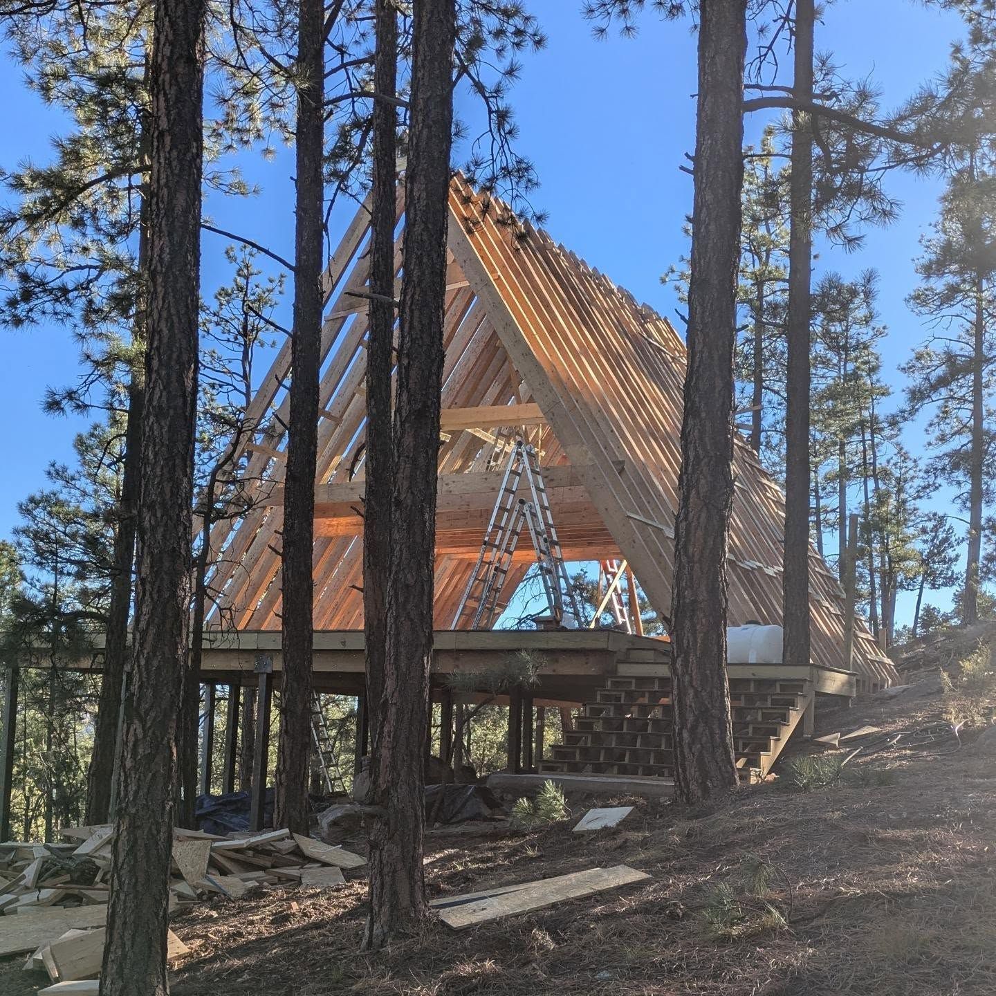 A wooden structure is being built in the middle of a forest