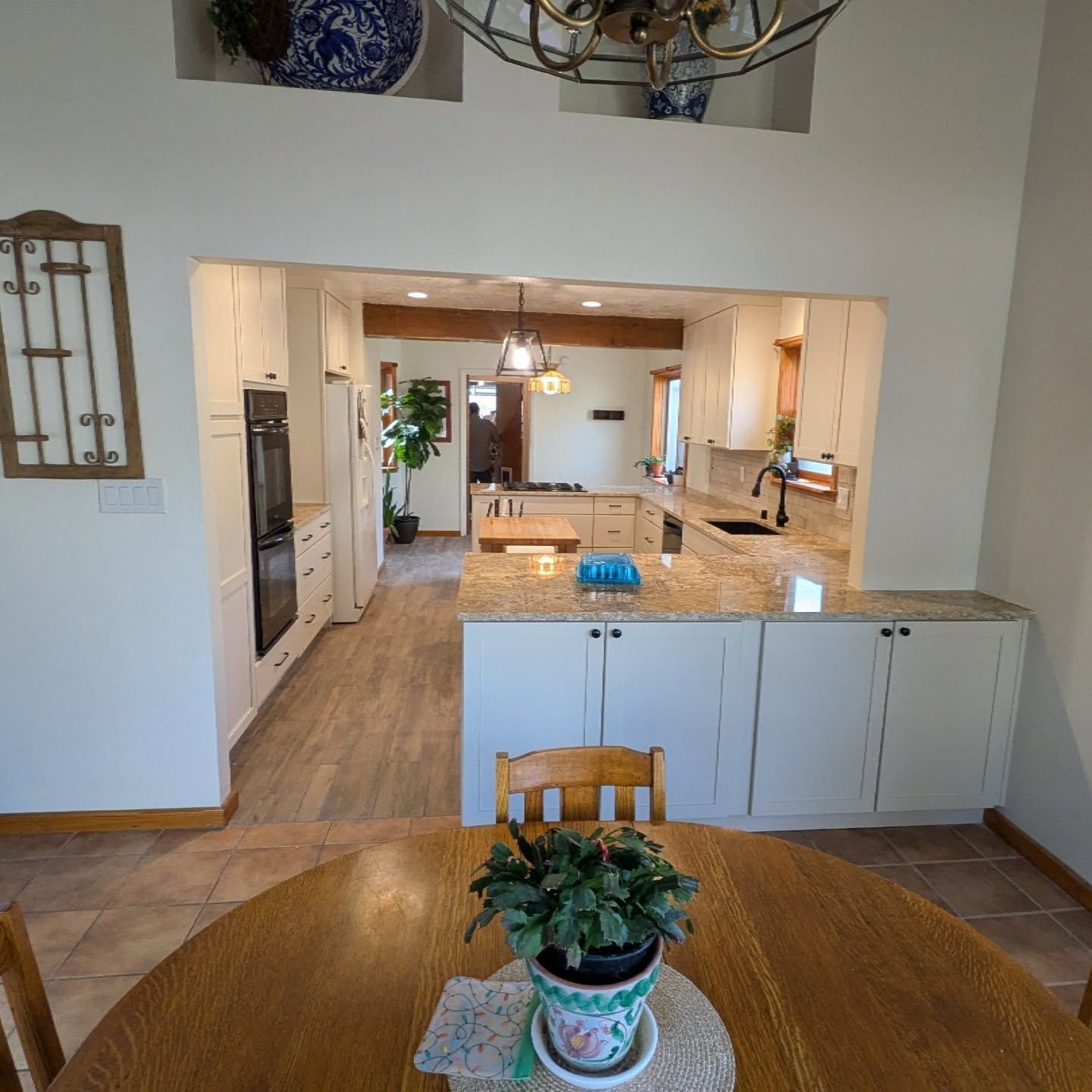 A potted plant sits on a table in a kitchen