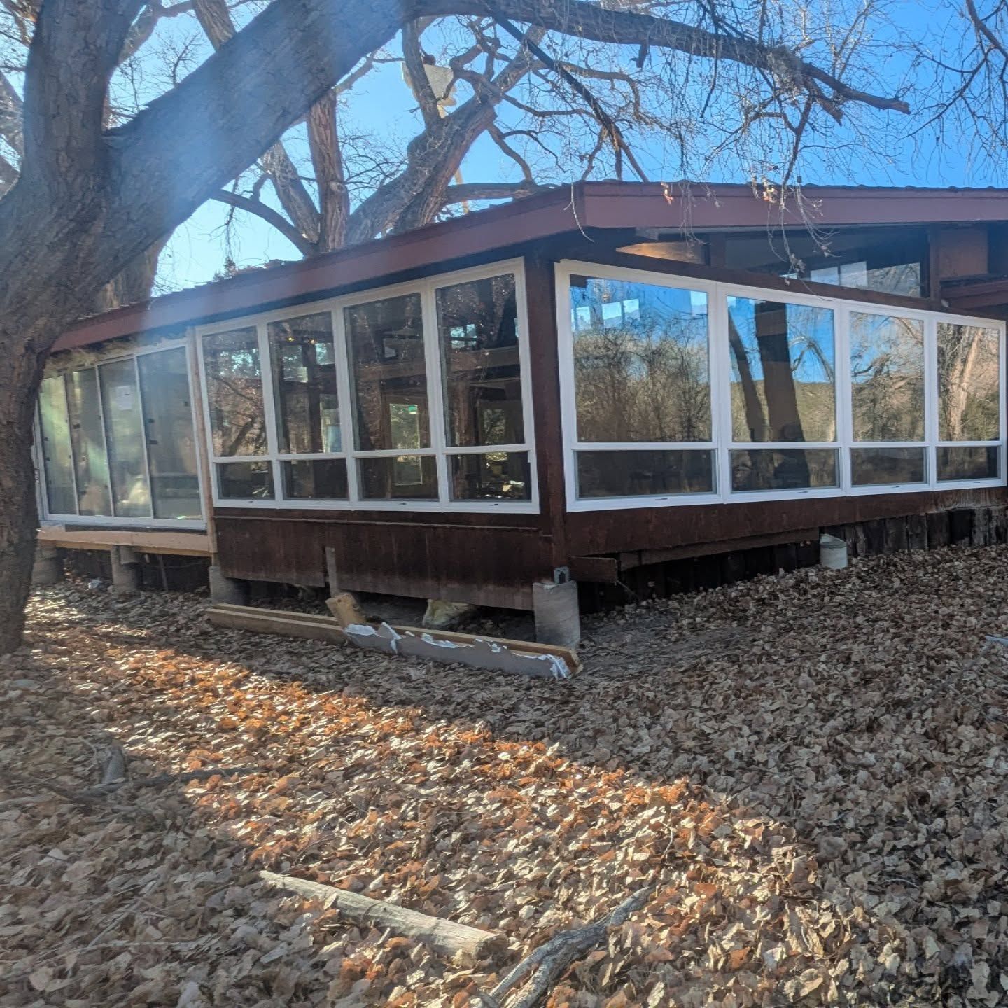 A house with a lot of windows is surrounded by leaves