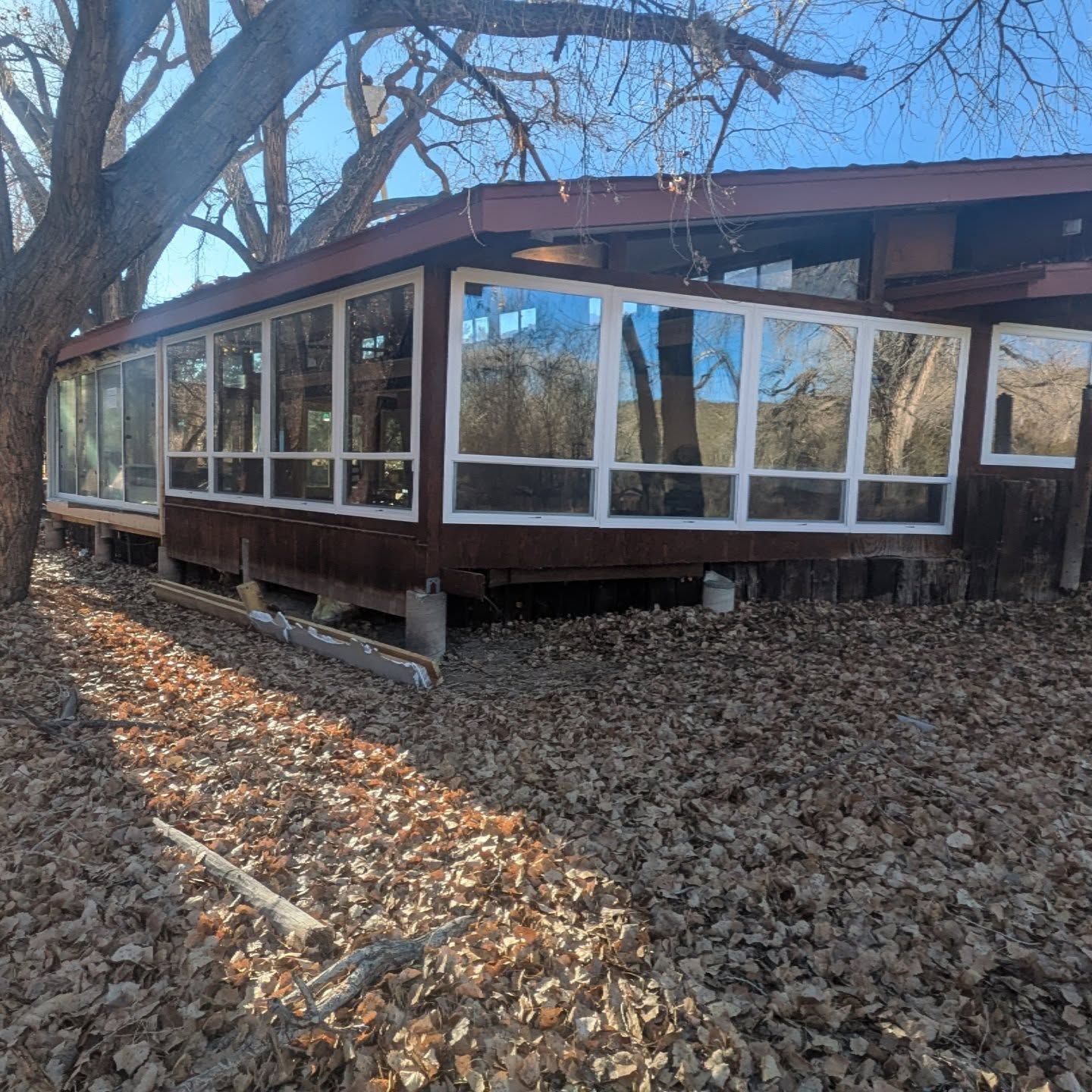 A house with a lot of windows is surrounded by leaves
