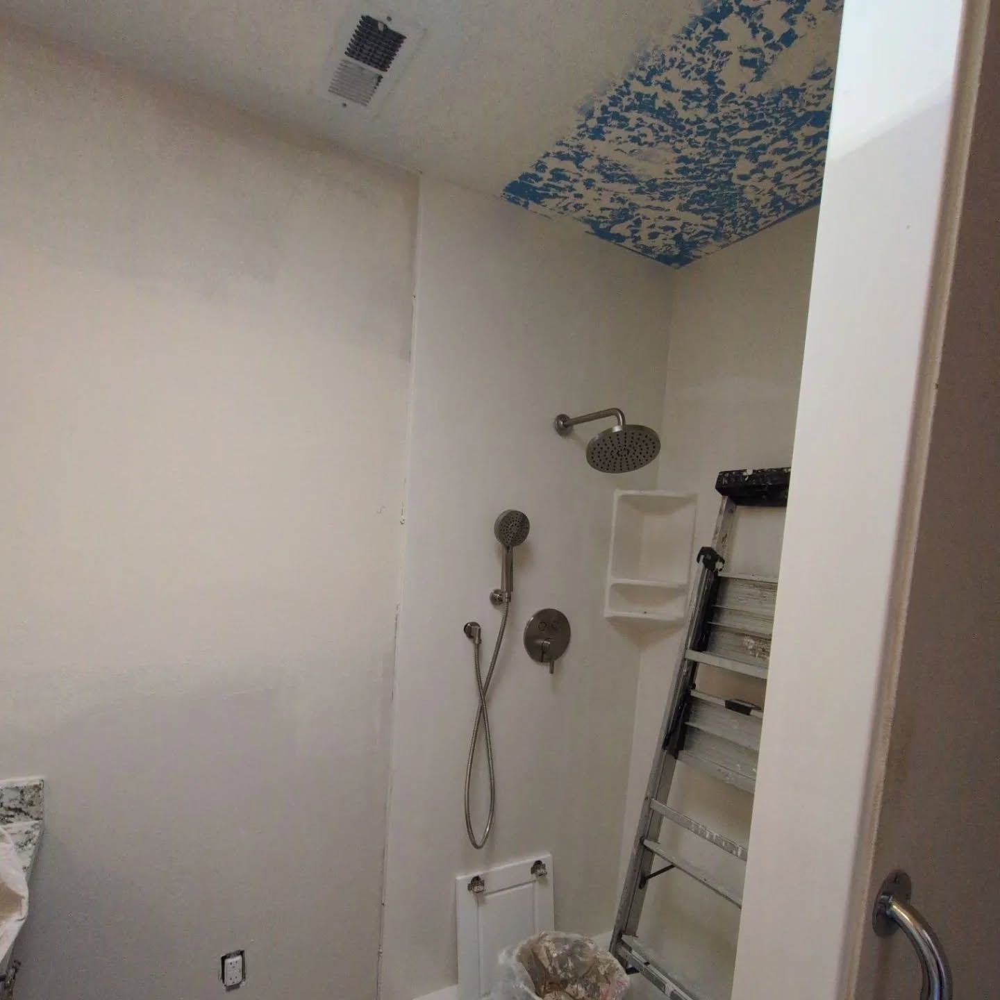 A bathroom with a toilet a shower and a ladder