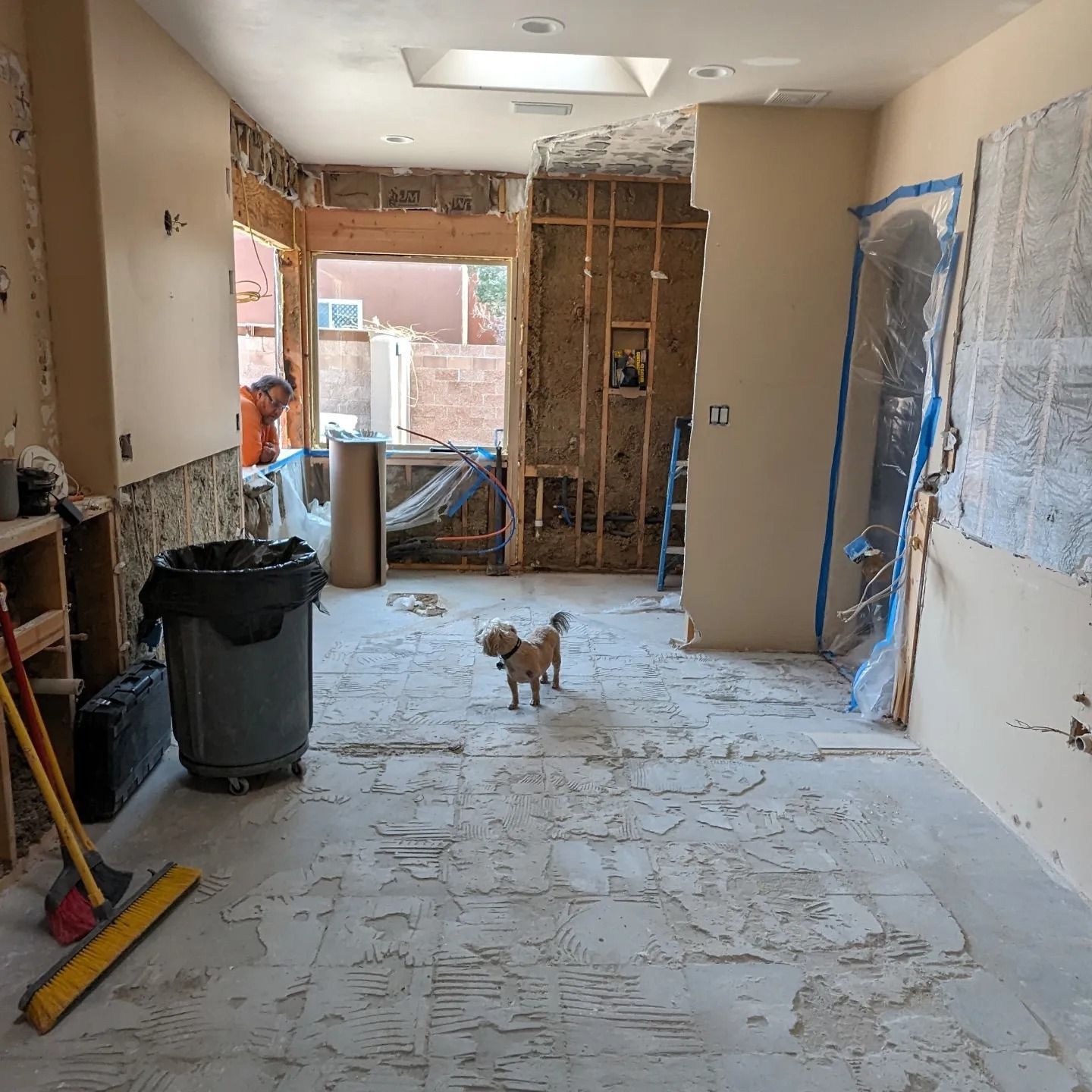 A small dog is standing on the floor of a room under construction