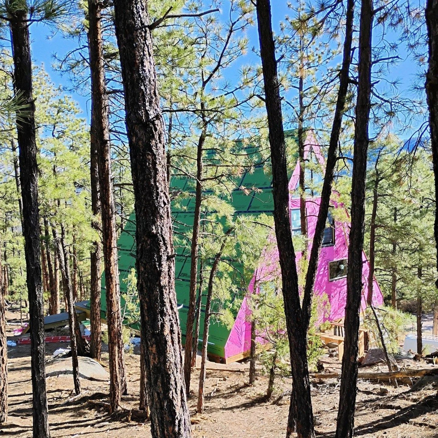 A pink and green house in the middle of a forest.