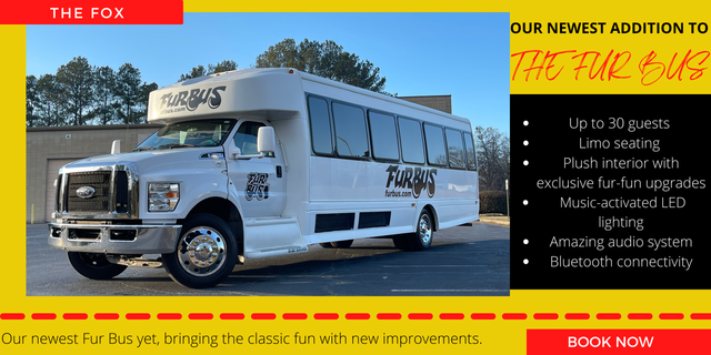 Theme Parks  Atlanta Party Bus Rentals