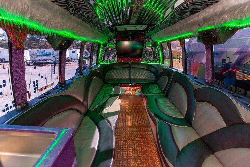 Skyline Fur Bus Image