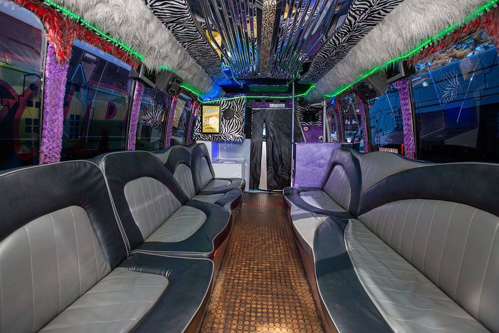 Skyline Fur Bus Image