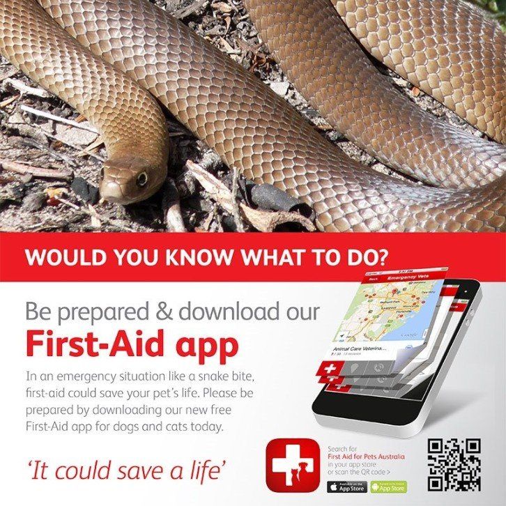 First Aid App for Pets