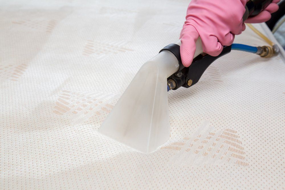 Mattress Cleaning With Professionally Extraction Method — Carpet Cleaning In Wingham, NSW