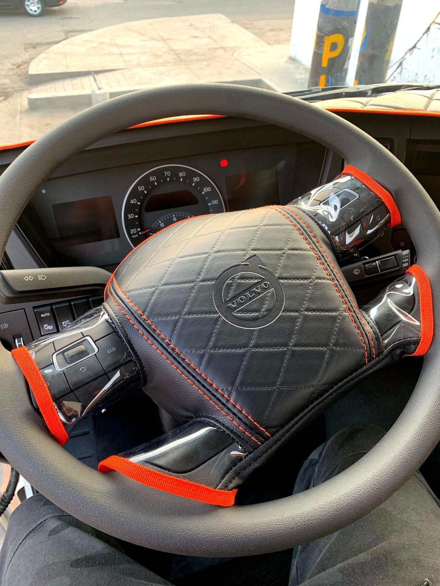 Interior del coche con volante, salpicadero y controles con detalles en rojo, todos ellos cubiertos de pelo.