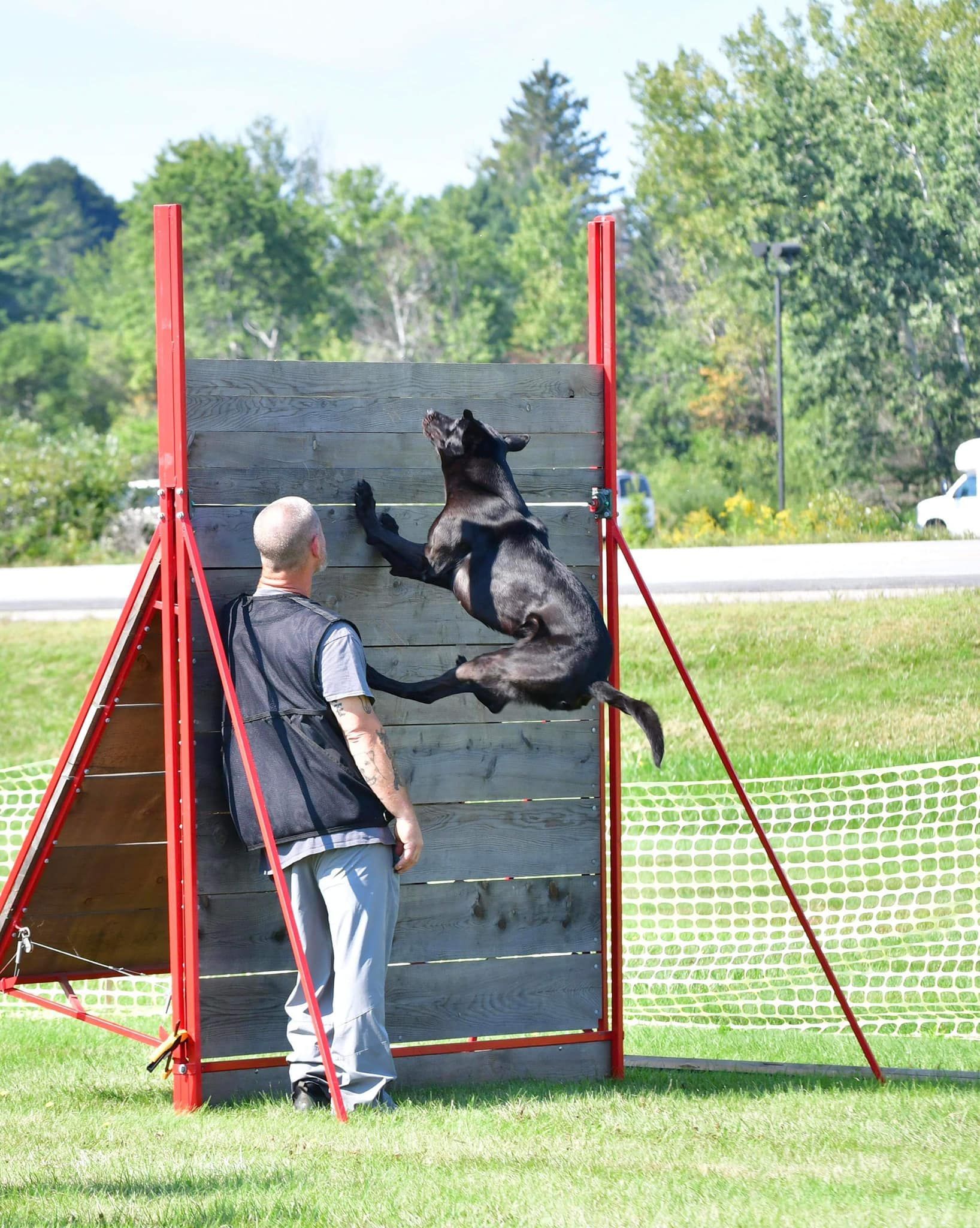 Dog jumping over a wooden wall in an agility competition, with a man watching. The dog is black and the wall is red and gray, set in a grassy field.