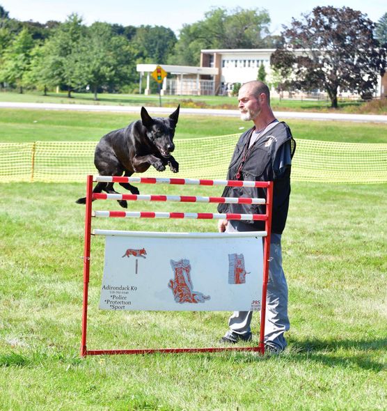 A black dog jumps a red and white agility hurdle, guided by a man in a park setting.