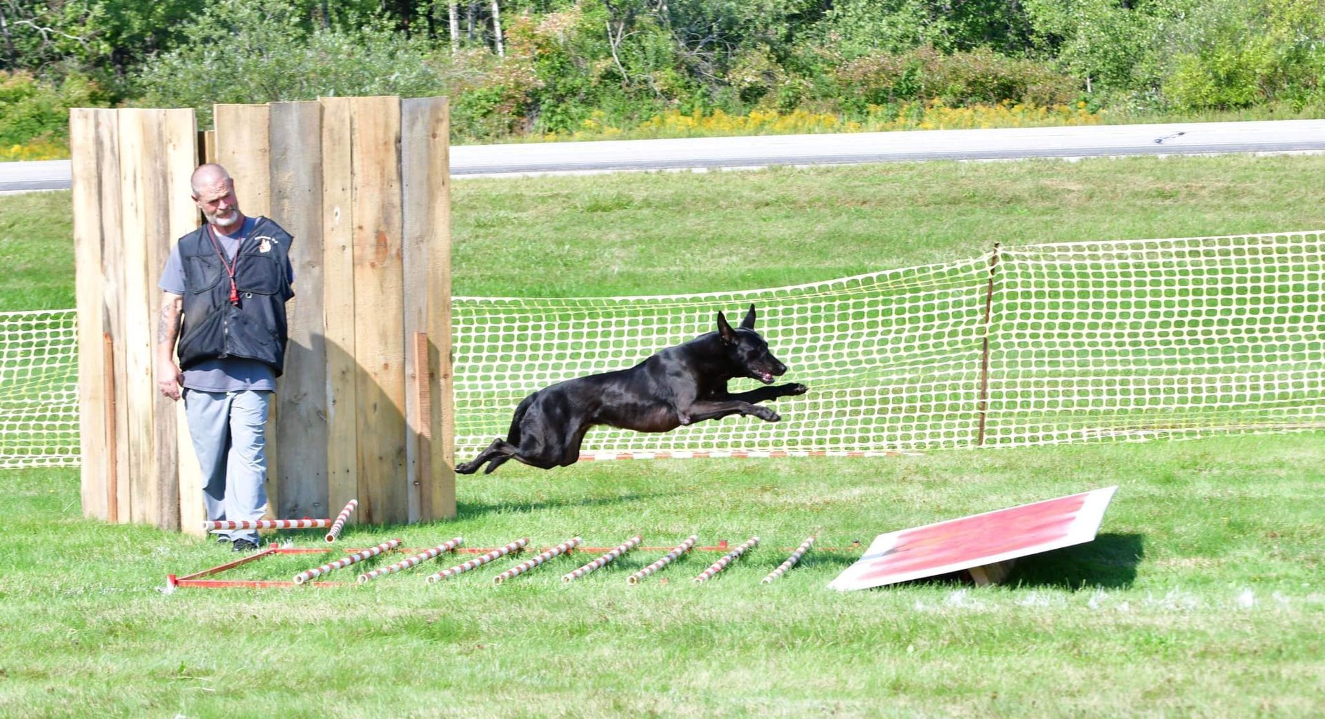 A black dog leaps over a hurdle in an agility course, while a man watches beside a wooden wall. Green field, sunny day.