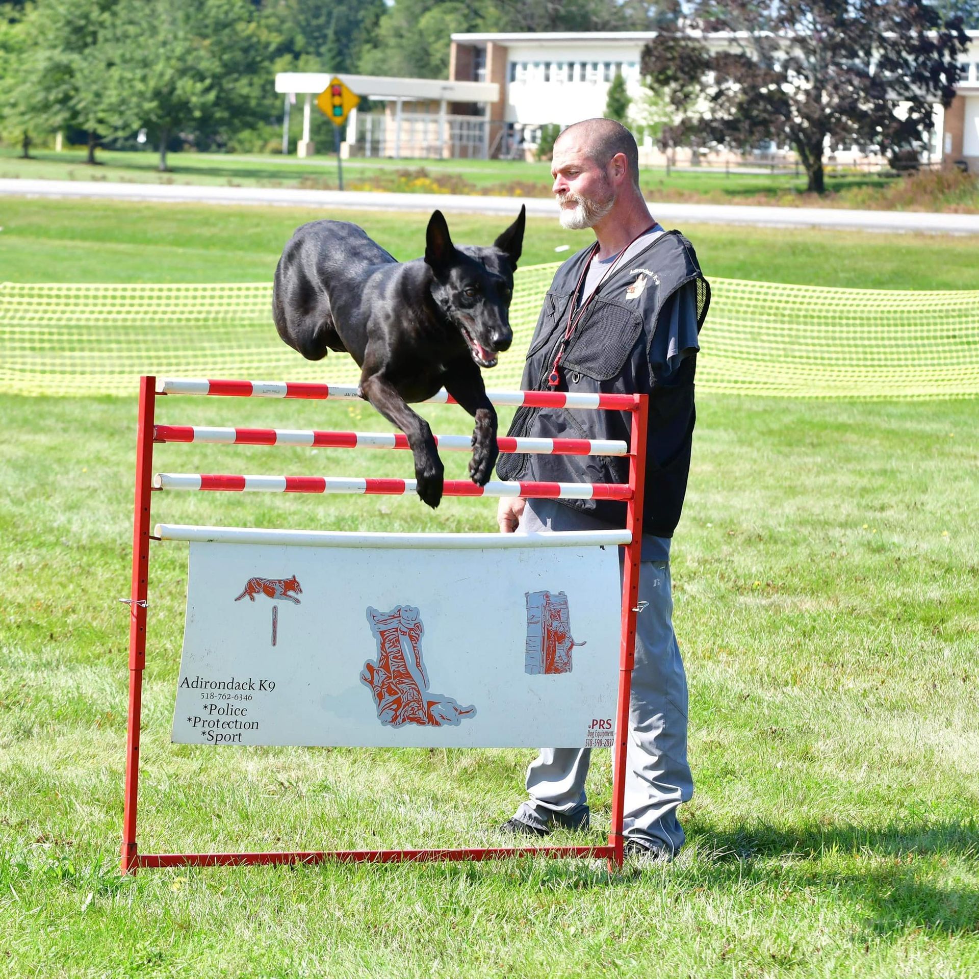 A black dog jumps over a hurdle during a dog agility course, guided by a man in a park.