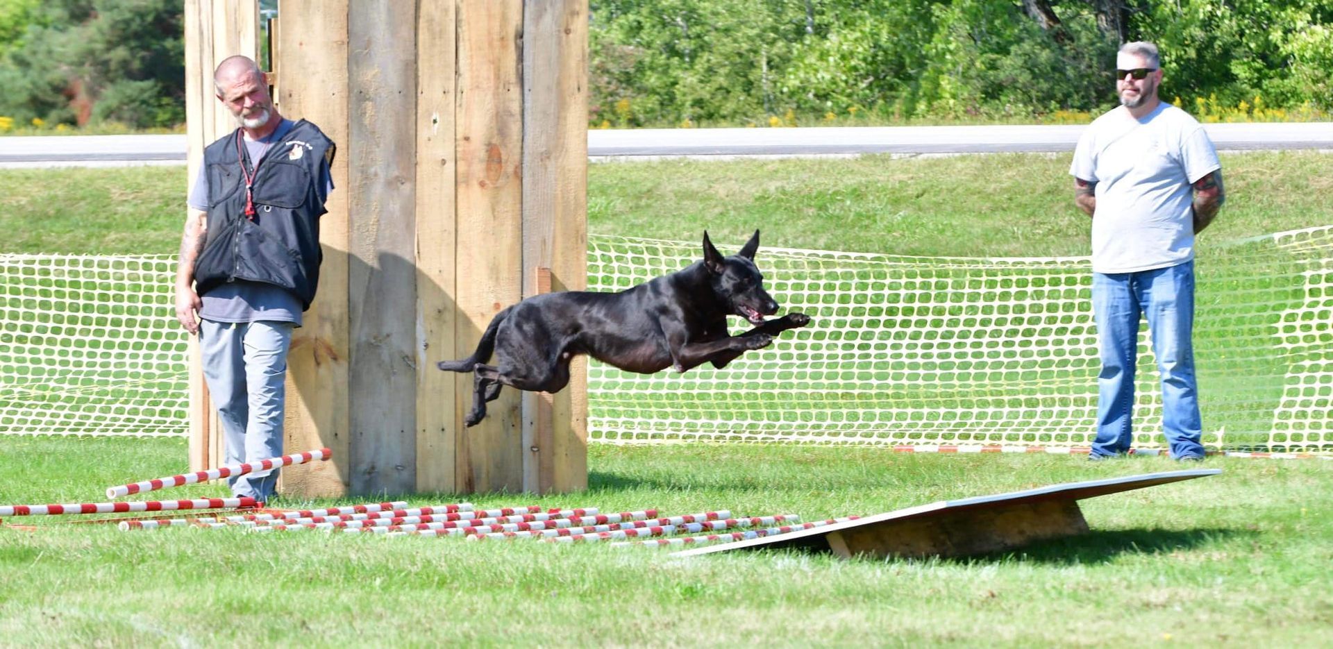 A dog leaps over a teeter-totter during an agility competition; two people watch. The setting is a grassy field on a sunny day.