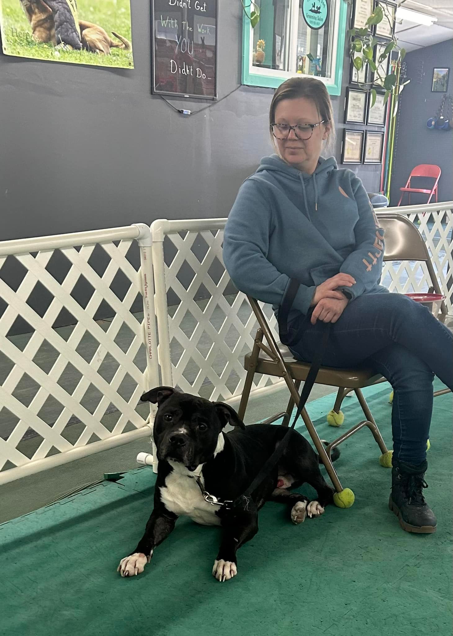 A person in a blue hoodie sits on a chair with a black and white dog lying in front of them. They are in a room with a white fence and green floor.