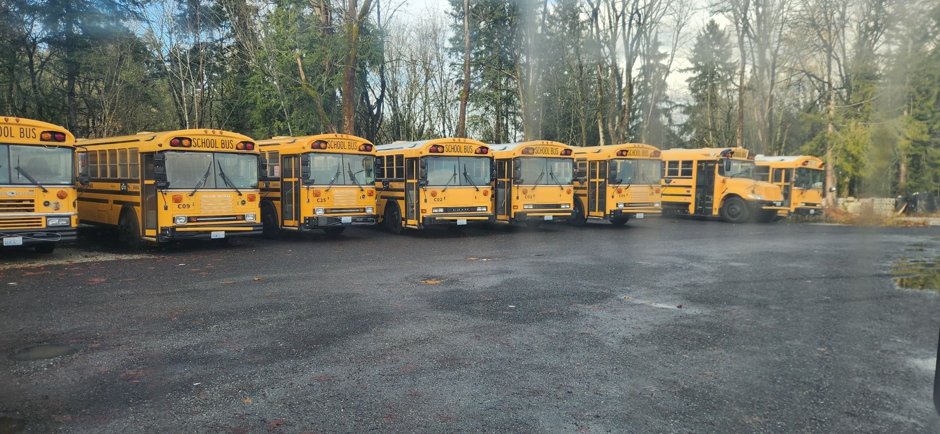 A man is washing a red truck with a high pressure washer.