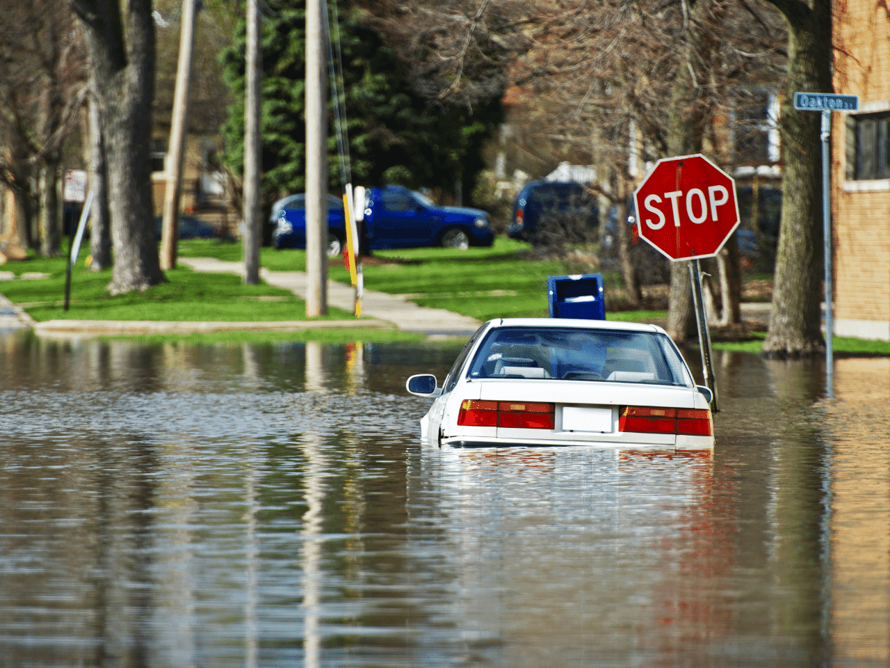 White Car Stranded In Flood Water — St. Louis, MO — St. Louis Cleaning and Restoration