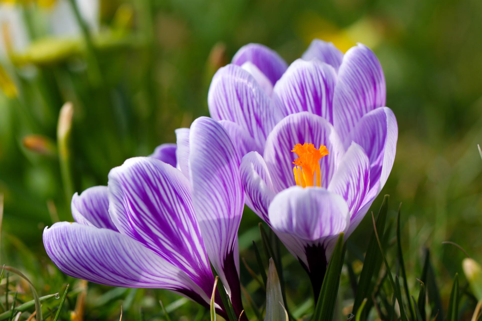 Teat Chapel Funeral Home and Cremation Service