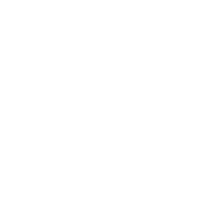 03 in circle