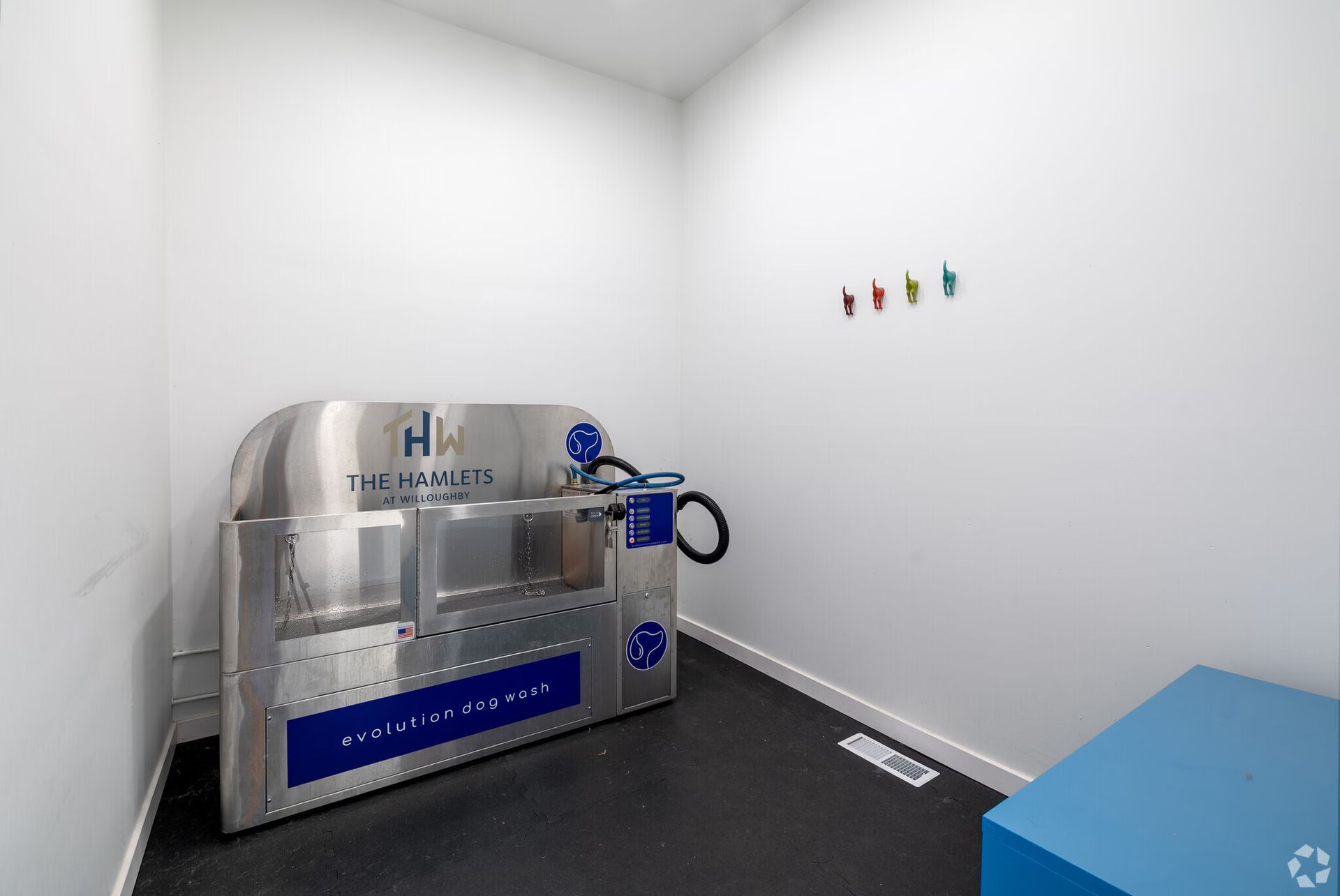 Dog wash station in a white-walled room with a blue storage box and colorful hooks.