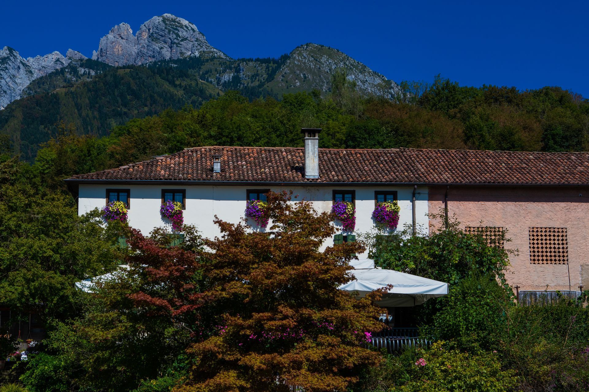RISTORANTE SAN GREGORIO NELLE ALPI