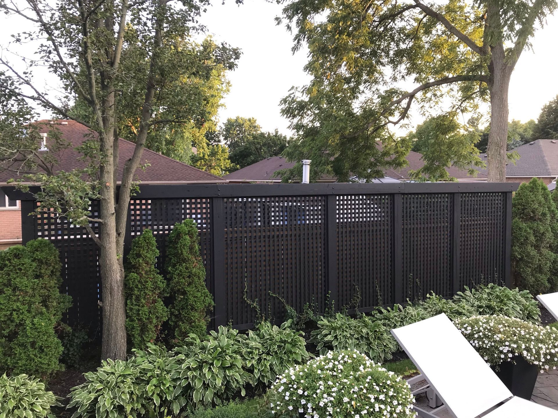 A black fence is surrounded by trees and bushes in a backyard.