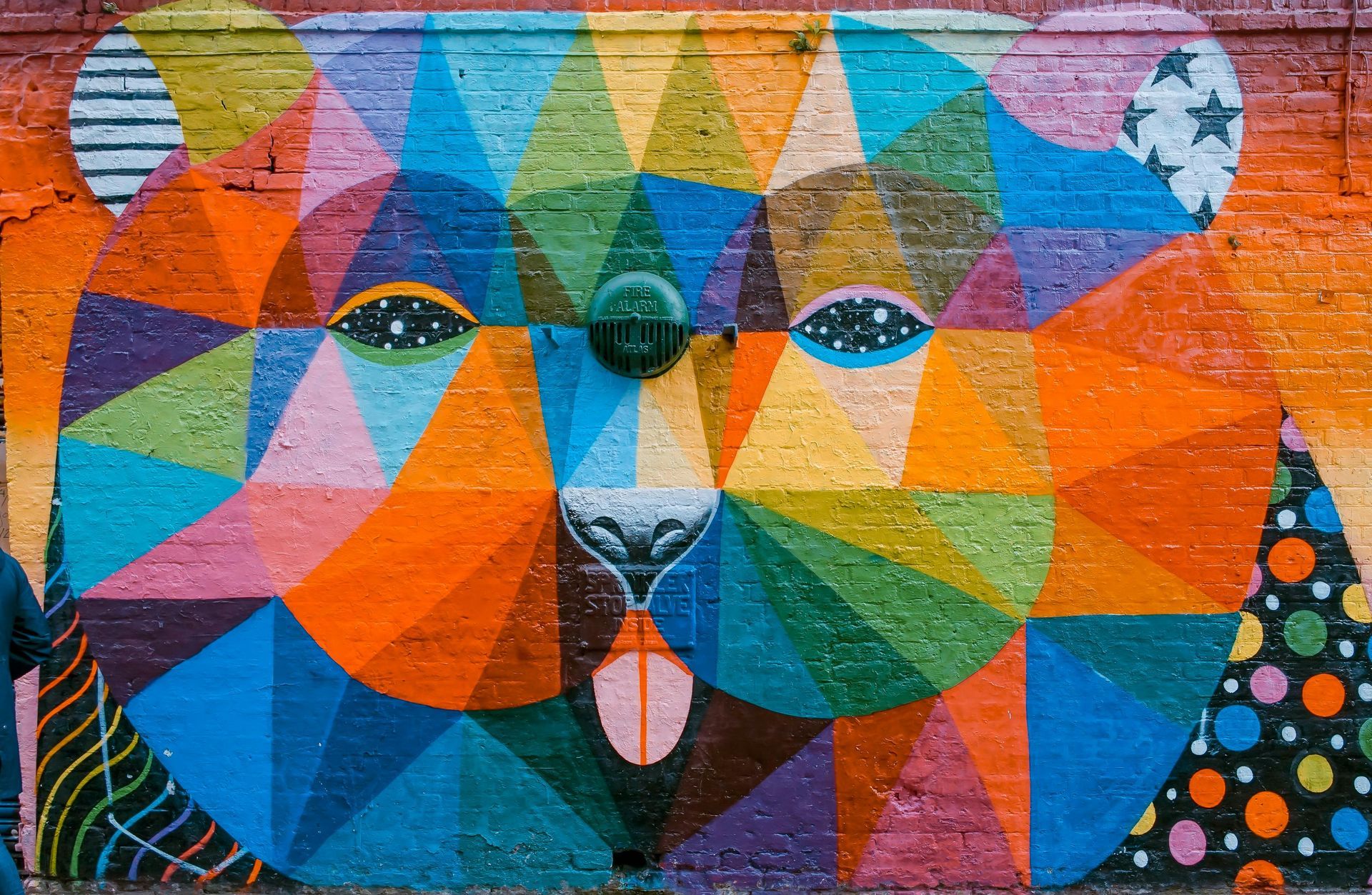 A colorful painting of a bear 's face on a brick wall.
