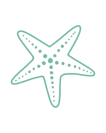 Light teal starfish with dotted pattern.