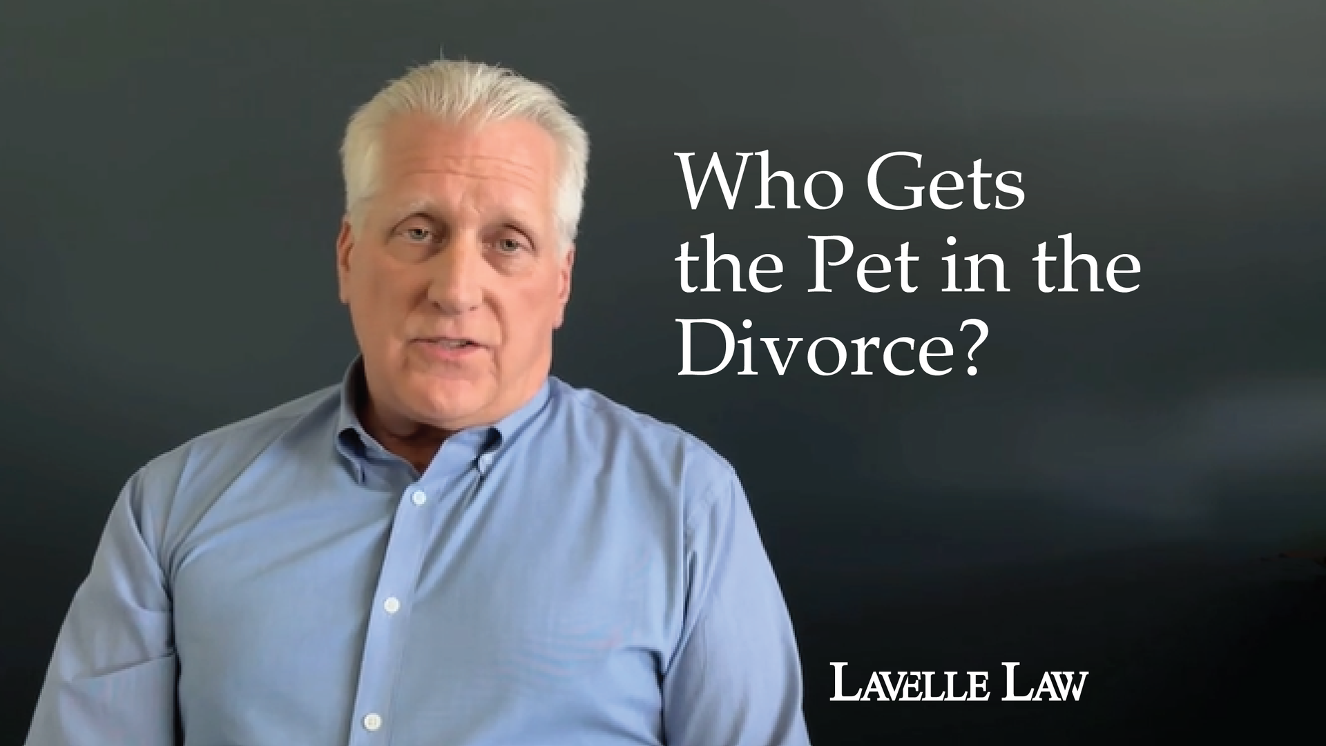 Illinois family laws help determine who gets to keep the pet when couples divorce. 