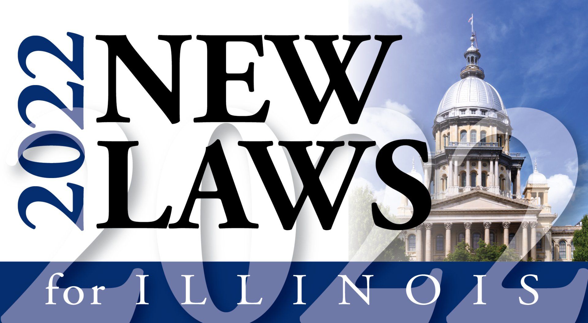 New Year. New Laws for Illinois in 2022.