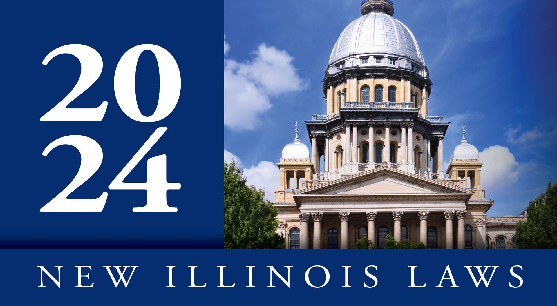 There are over 300 New Illinois Laws that take effect in 2024. 