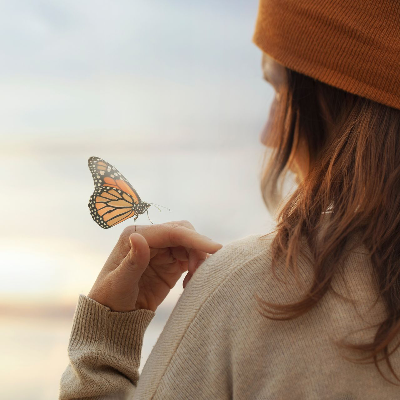 butterfly on the hand of a woman