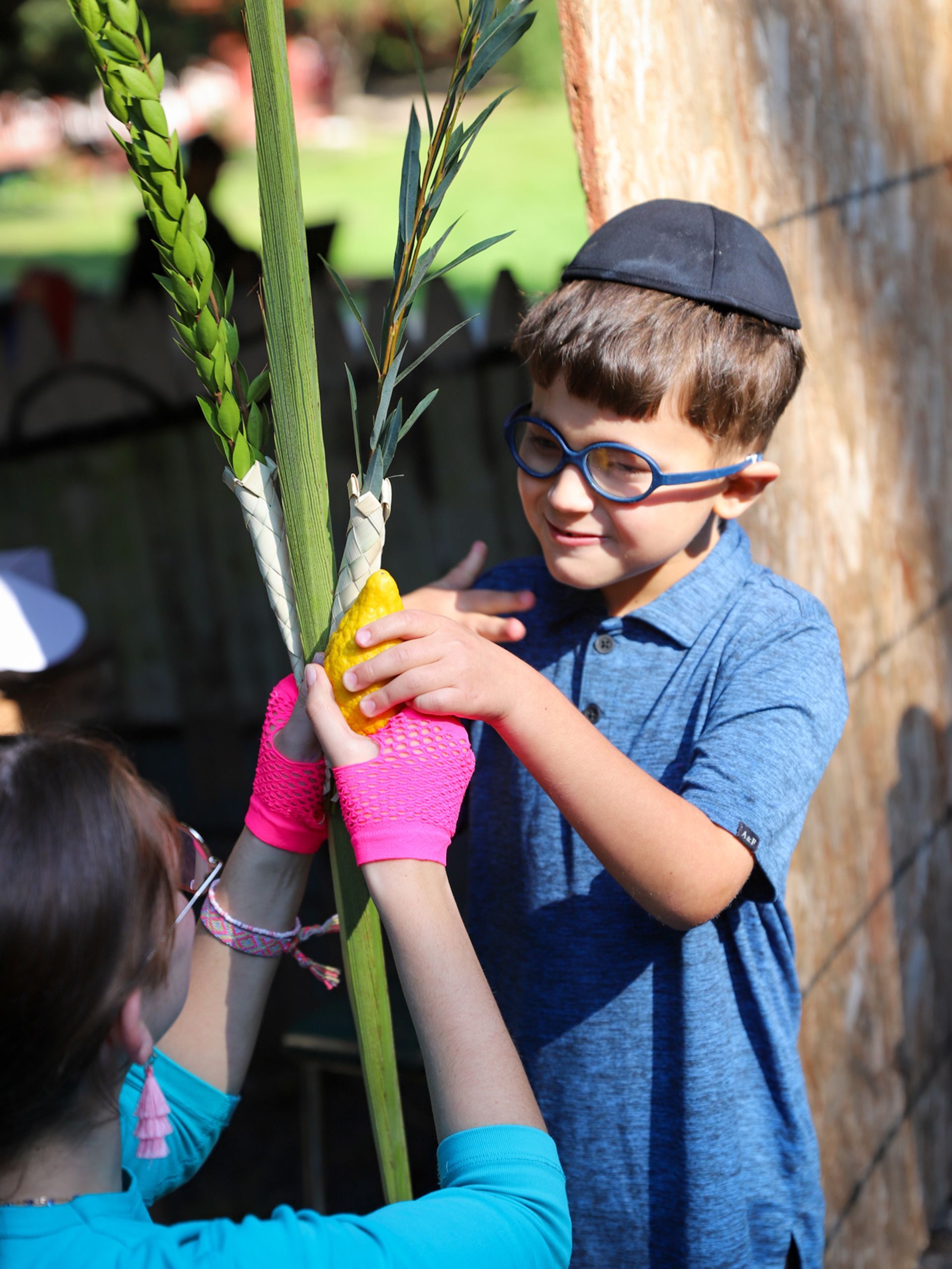 A boy wearing glasses is shaking a lulav and esrog.