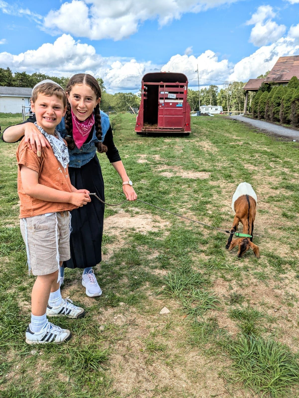 A boy and a girl are standing next to a goat in a field.