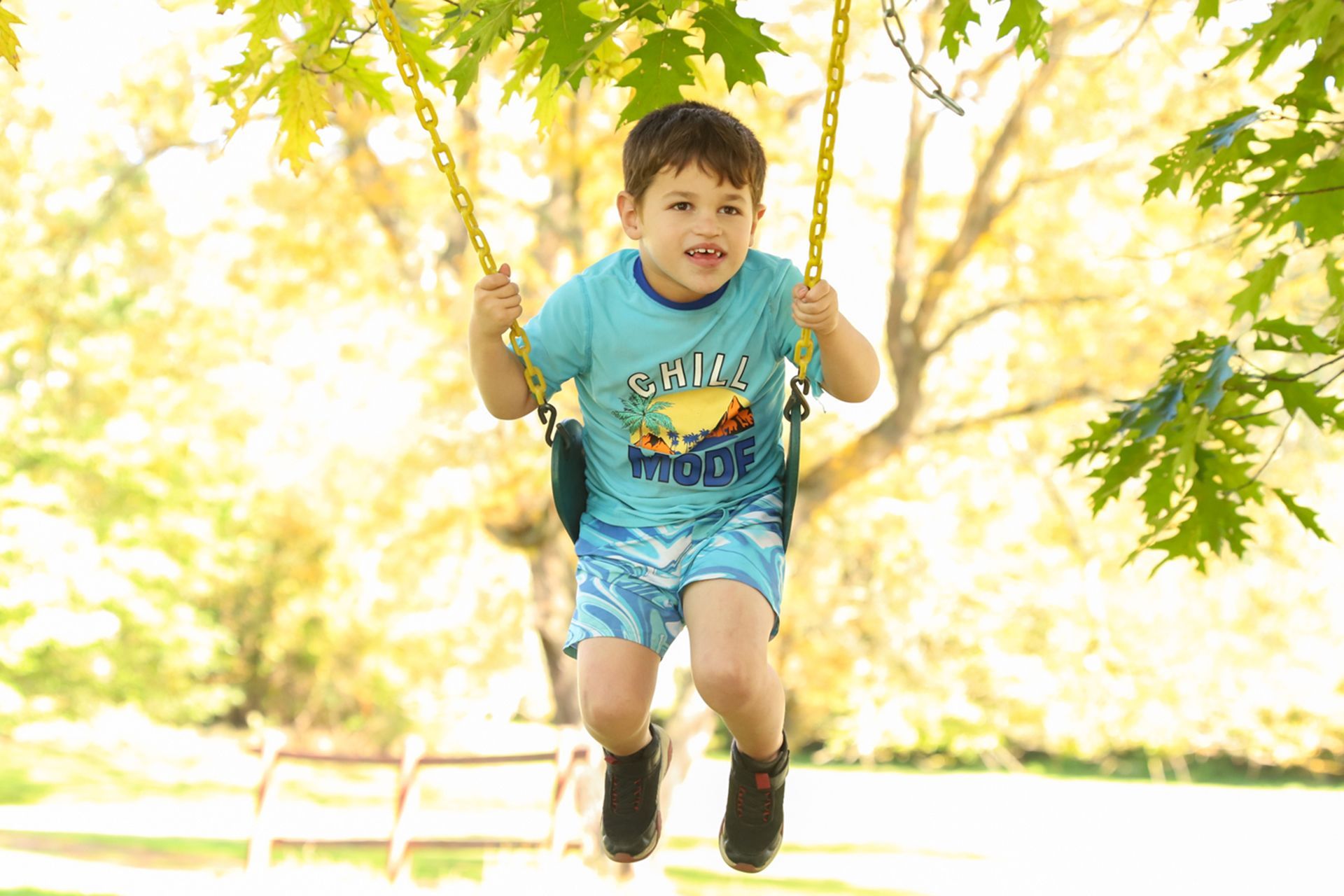A young boy is on a swing.