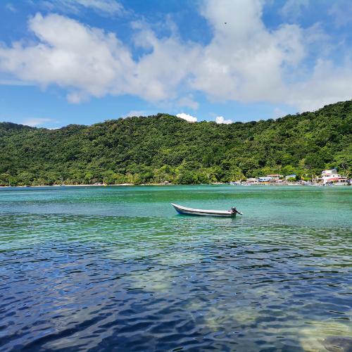 Tres personas posan sonriendo frente a un mural vibrante y colorido con motivos de pavos reales en una pared de piedra.