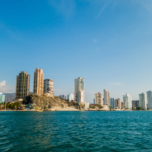 Tres personas posan sonriendo frente a un mural vibrante y colorido con motivos de pavos reales en una pared de piedra.