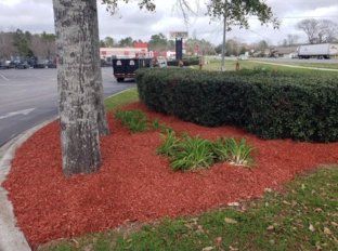 Landscaping — Path in garden in Chipley, FL