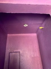 A purple room with a door and a light on the ceiling.