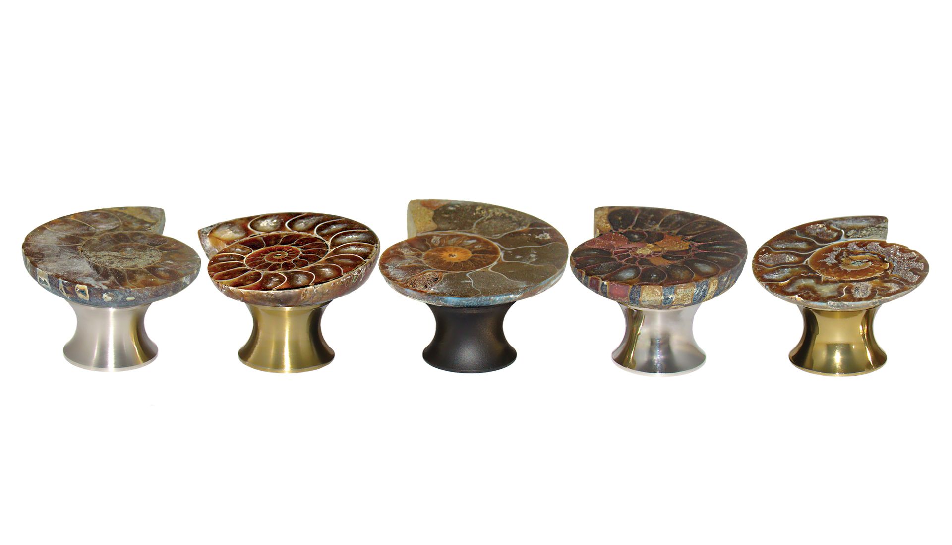 Ammonite Fossil Cabinet Knob by Myterra