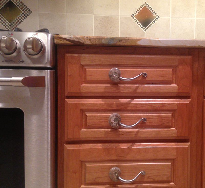 Ammonite Fossil on 4