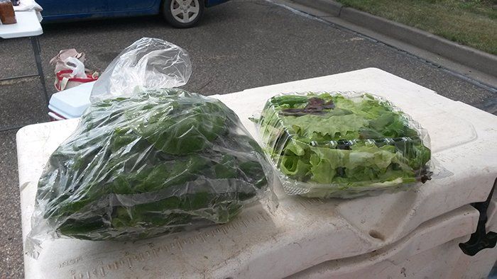 lettuce and spinach in bag and plastic container