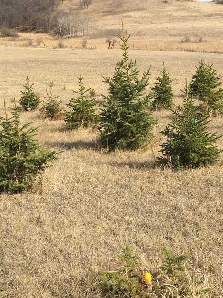Off Season Capital Farmers Market Bismarck, ND