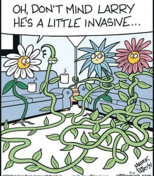 invasive weed comic