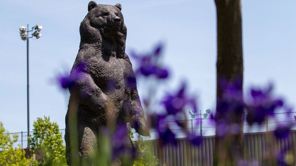 Brown University Mascot Bruno