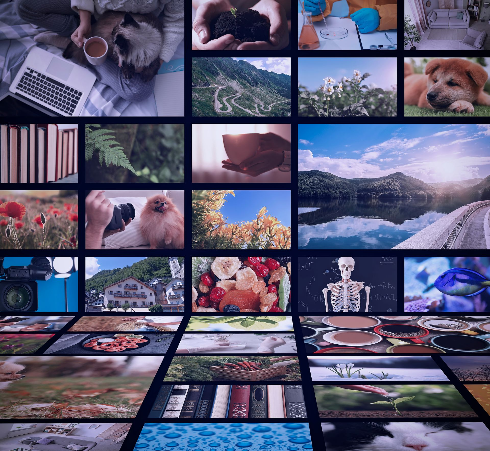 3 Decades of Preserving the Internet with the Wayback Machine