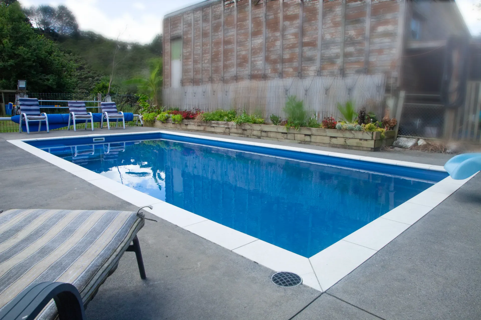 Rectangular blue swimming pool with white border, lounge chairs, available with Makarau guest house accomodation rural Auckland.